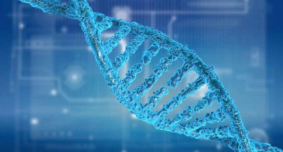 Genomics