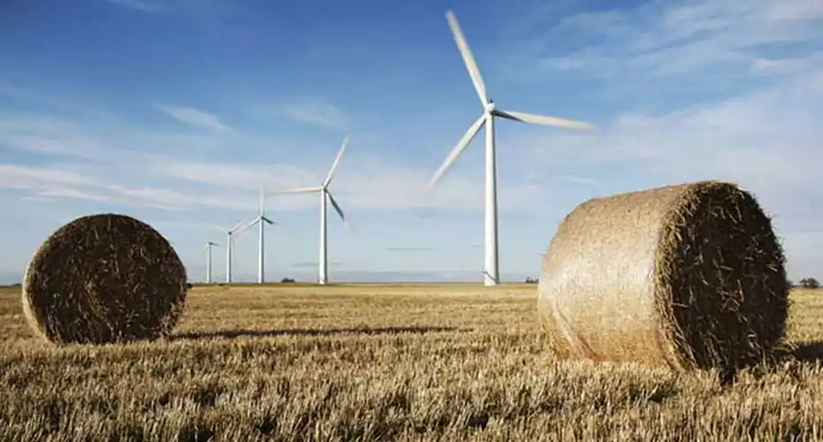 Hay bales and windmills