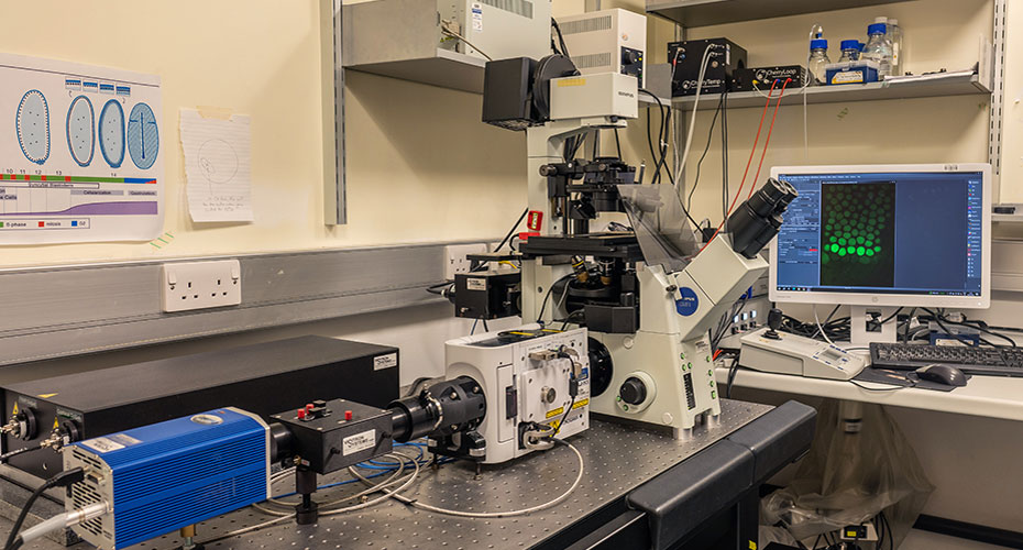 Spinning Disc Confocal Microscope